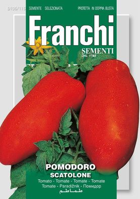 Tomaat Tomate Scatolone 106/116 zaden Franchi