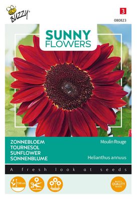 Seeds Sunny Flowers Sonnenblume Moulin Rouge Buzzy