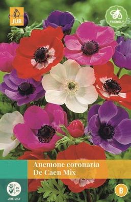 Anemone Coronaria De Caen Mix gemischt 15 Blumenzwiebeln Jub