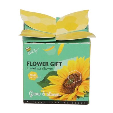 Wachsen Geschenke wachsen Kit Blume Geschenk Sonnenblume Buzzy