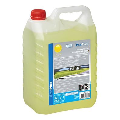 Wohnmobil Scheibenreiniger Sommer Fertigmix 5 Liter