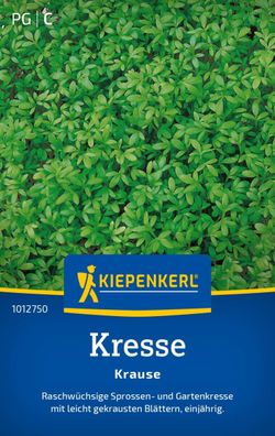 Kresse Krause, raschwüchsige Sprossen- und Gartenkresse - leicht gekrauste