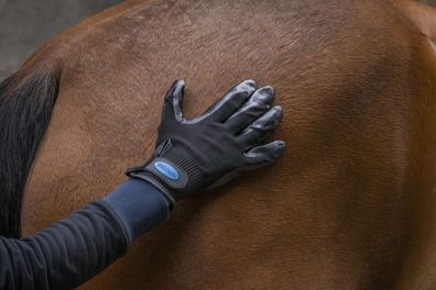 Hippotonic Pflegehandschuh, Pro-Fellwechsel - Farbe: schwarz