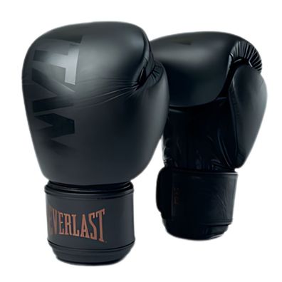 Everlast Titan Muay Thai Gloves | Black