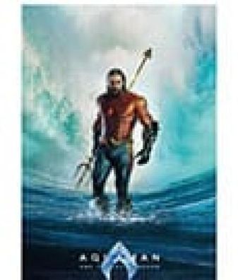 Aquaman and the lost Kingdom Poster Set Tempest 61 x 91 cm (4)