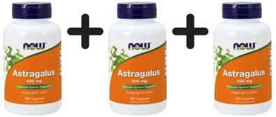 3 x NOW Foods Astragalus, 500 mg - 100 caps