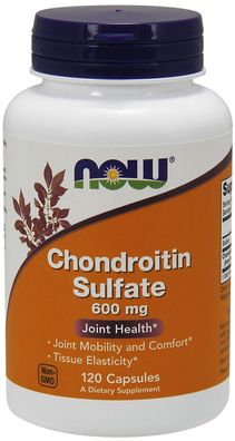 Chondroitin Sulfate, 600mg - 120 capsules