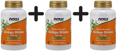 3 x NOW Foods Ginkgo Biloba, 120mg Double Strength - 100 vcaps