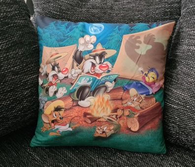 Looney Tunes Kissenbezug: Warner Bros. - 40cm x 40cm