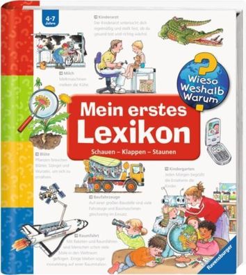 Wieso? Weshalb? Warum? Mein erstes Lexikon von Andrea Erne (2005, Taschenbuch)