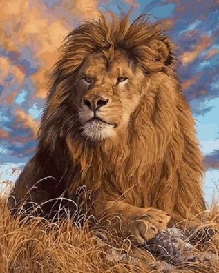 Diamond Painting Löwe 40x30 cm