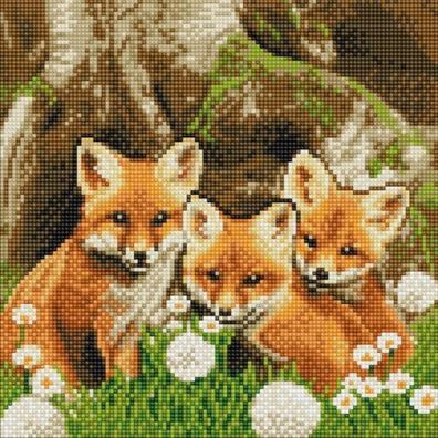 Crystal Art Fuchswelpen 30x30 Cm
