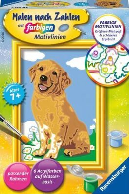 Kleiner Golden Retriever (2020, Game)