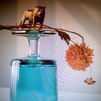 Beirut: Gallipoli - Beggars UK - (CD / G)