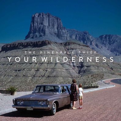 The Pineapple Thief: Your Wilderness (180g) - - (Vinyl / Pop (Vinyl))