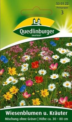 Wiesenblumen u. Kräuter Mischung ohne Gräser