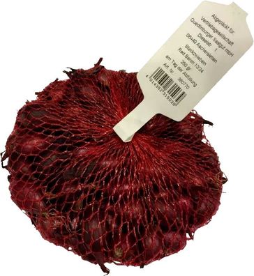 250g Steckzwiebeln Red Baron im Netz