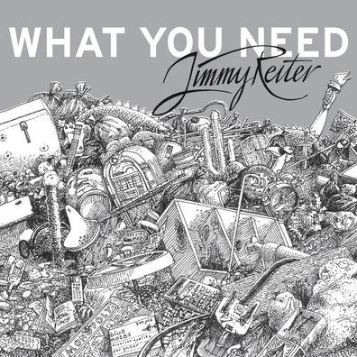 Jimmy Reiter: What You Need - Pogo Pop - (CD / W)