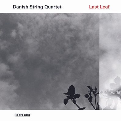 Various: Danish String Quartet - Last Leaf - Universal Music