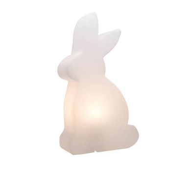 Shining Rabbit 50