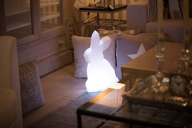 Shining Rabbit 70