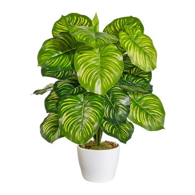 Künstliche Maranta 50 cm im weißen Keramiktopf – Pflegeleichtes Deko-Element