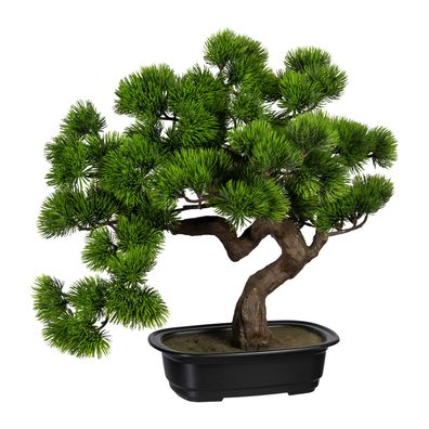 Künstlicher Bonsai Kiefer 40 cm in schwarzer Schale – Pflegeleicht