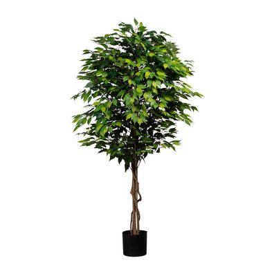 Künstlicher Ficus Benjamini 180 cm mit Naturstamm und dichtem Laub