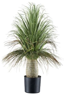 Beaucarnea Kunstpflanze 60 cm grün im dekorativen Kunststofftopf