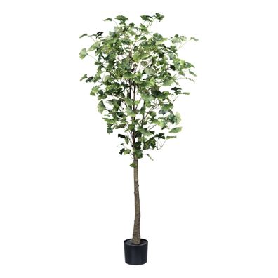 Ginkgo Baum künstlich 150cm grün 462 Blätter im Topf 14,5x12,5cm