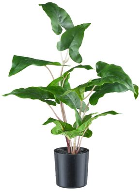 Kunstpflanze Colocasia esculenta 50cm im 10x10cm Topf, grün