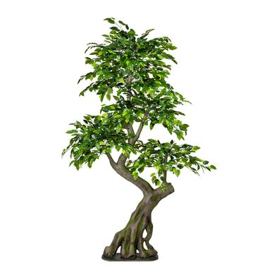 Ficus Benjamini Kunstpflanze 170x80cm mit stabilem Kunst-Stamm