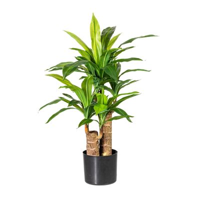 Dracena Kunstpflanze 80 cm mit 66 Blättern im schwarzen Topf