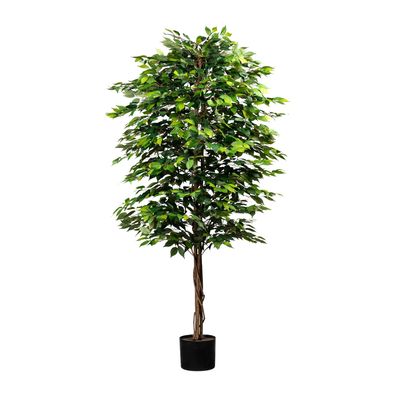 Ficus Benjamini Kunstpflanze 210 cm mit Naturstamm und 2268 Blättern