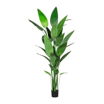 Wassercanna Kunstpflanze 210 cm im Topf für dekorative Akzente