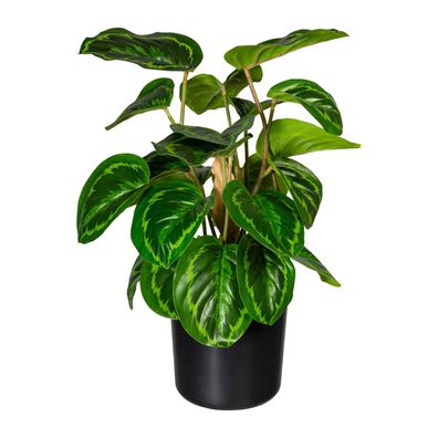 Kunstpflanze Maranta 45 cm grün im Kunststofftopf 12x11,5 cm