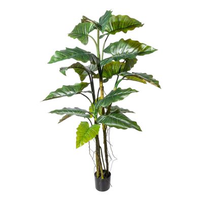 Colocasia Kunstpflanze 180 cm mit 19 Blättern und Topf schwarz