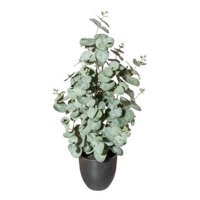 Eukalyptus Kunstpflanze 60cm grüngrau im Topf 13,5x13cm mit Erde