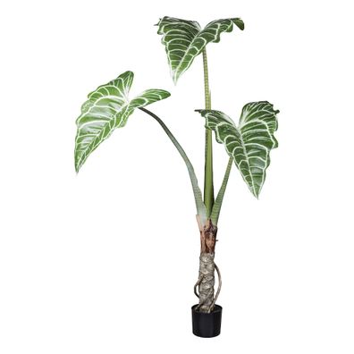 Colocasia White Lava Kunstpflanze 185 cm, 3 grün-weiße Blätter