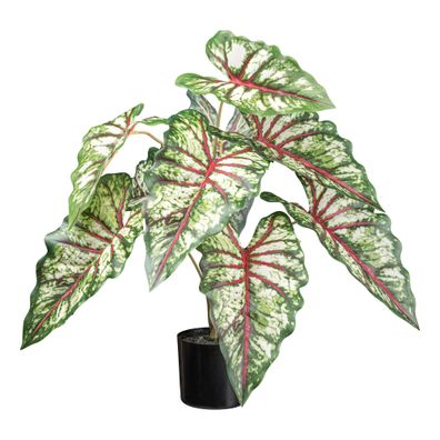 Syngonium Kunstpflanze 66cm Grün-Rot im Topf, pflegeleicht, 12,5x11,5cm