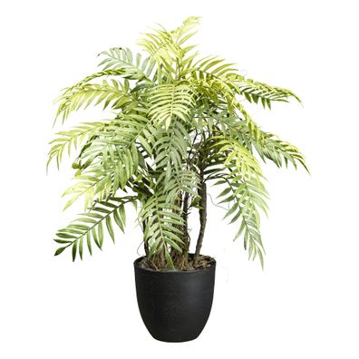 Pflegeleichte 60 cm Farnpflanze im Topf mit Steinen, grün