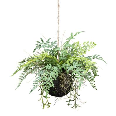 Mix-Farnhänger 25 cm grün auf Moosballen Ø 12 cm – Pflegeleicht