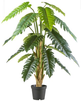 Philodendron Xanadu Kunstpflanze 195 cm im Kunststofftopf grün