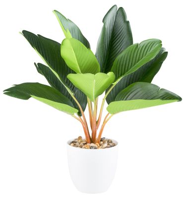 Kunstpflanze Strelitzia 36 cm im weißen Melamintopf mit Kies