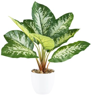 Kunstpflanze Dieffenbachia 36 cm im modernen weißen Topf 11x10 cm