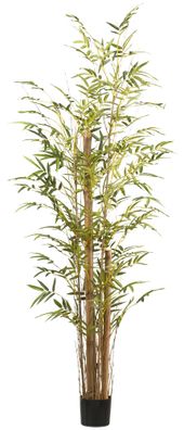 Kunstpflanze Bambus vulgaris 220 cm grün im schwarzen Topf 17x14,5 cm