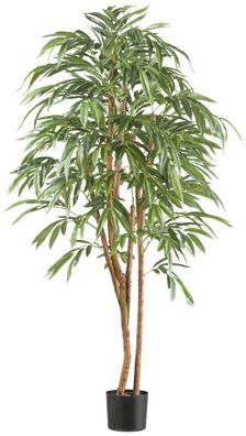 Ficus longifolia Kunstpflanze 170 cm mit 798 Blättern im Topf
