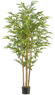 Bambus Kunstpflanze 180 cm - 830 Blätter, UV-beständig im Topf