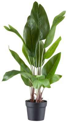 Strelitzia nicolai Kunstpflanze 70 cm im Topf für tropisches Flair