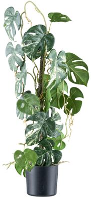 Splitphilodendron Variegata Kunstpflanze 66 cm grün-weiß im Topf